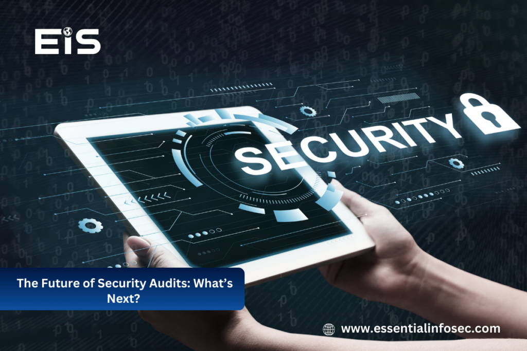 Security Audits